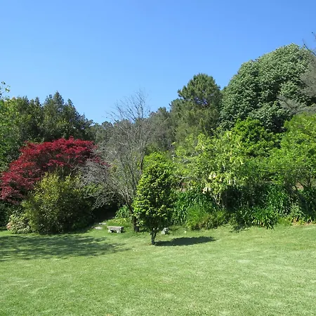 De Pedral By Interhome Casa de Férias Castelo Do Neiva