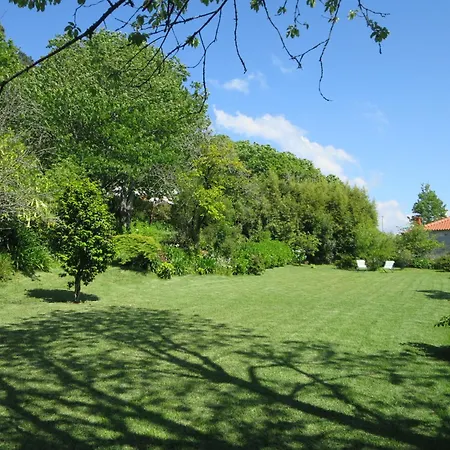 Holiday Home Casa Da Quinta De Pedral By Interhome Castelo Do Neiva